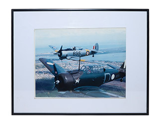 Lot 227